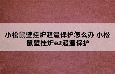 小松鼠壁挂炉超温保护怎么办 小松鼠壁挂炉e2超温保护